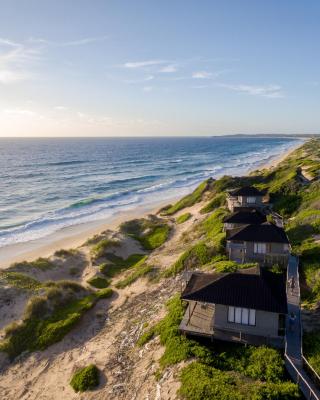 Sava Dunes