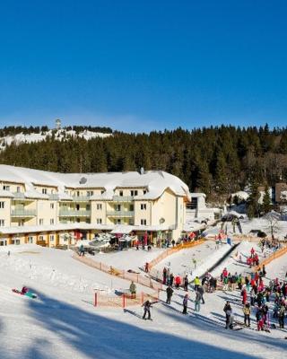 Ferienresidenz Grafenmatt, Feldberg