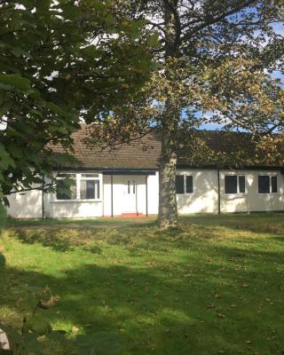 The Bunkhouse