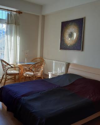 Apartment N6