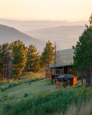 Dargle Forest Lodge