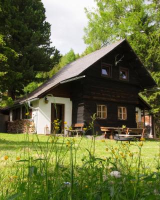 Falkert-Hütte „Beim Almöhi"