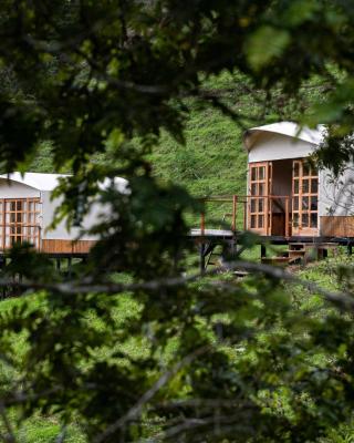 Birdglamping Los Arboles Glamping Hotel