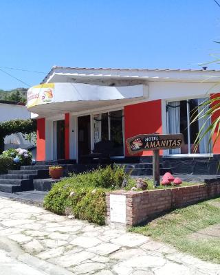 Amanitas Hotel