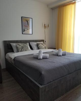 New Gudauri Flat near Gondola Loft 2