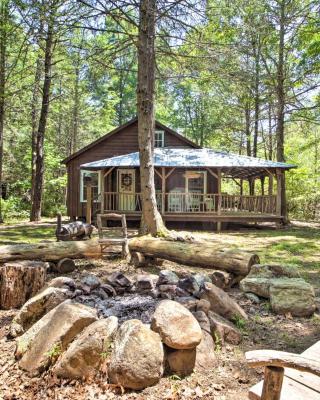 Clearwater Cabin on 10 Acres with Trout Stream!