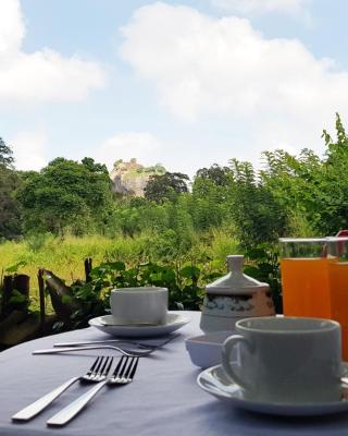 Sigiriya Palace View