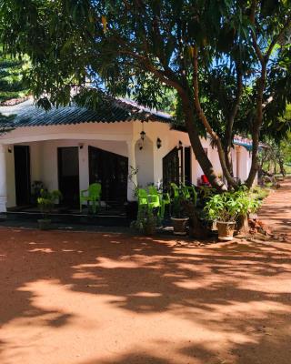 New Dambulla City Hostel