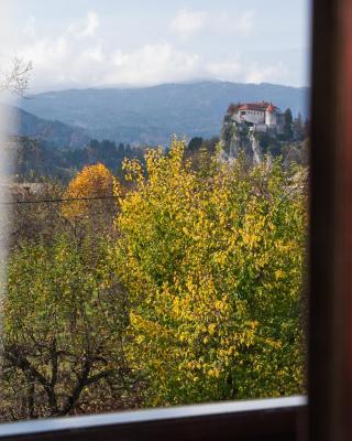 Rooms Tereza