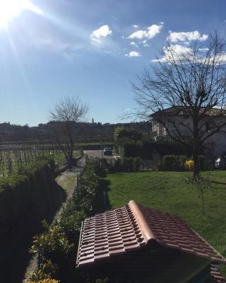 Uno sguardo sulla Valpolicella