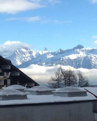 Alpine apartment in Swiss village of Torgon