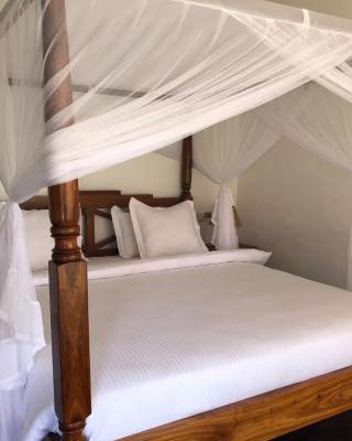 Bird of Paradise Eco Lodge