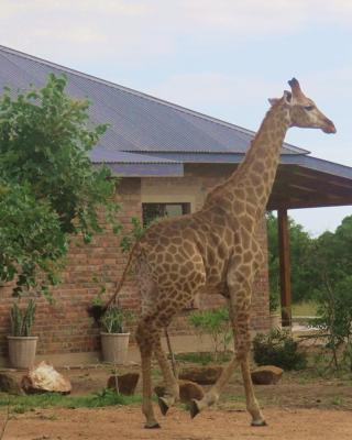 Mkhiweni Villa at Dombeya Wildlife Estate