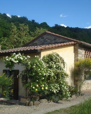 Il Cielo Bio - Il più piccolo B&B del Chianti