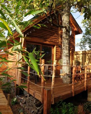 Kabanéo - gîte et sauna- Samois sur Seine - Forêt de Fontainebleau