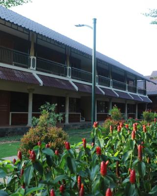 GREEN PLANET HOTEL