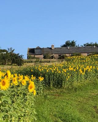 Garden Bank Cottage