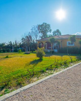 Loukas Farm House