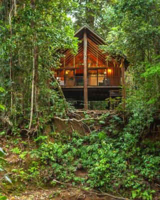 天篷雨林树屋及野生动物保护区酒店
