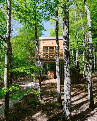 Treehouse Lika1