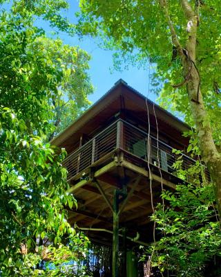 Cairns Rainforest Retreat