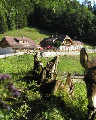 Ferienwohnung Hochsteinalm