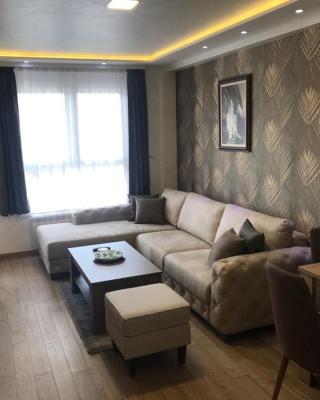 VIP Apartman NENA Zlatibor