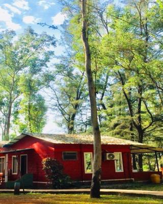 The Jungle Resort Amba