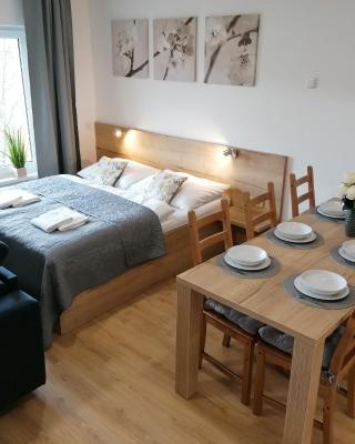 Apartmán Frymburk-Lipno G10