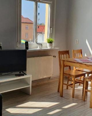 Apartament i Pokoje Gościnne MUSZELKA