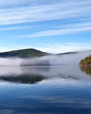 Les Fées du lac ***