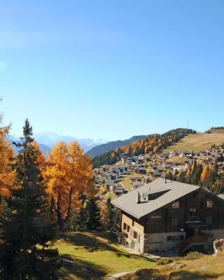 Chalet Trollius