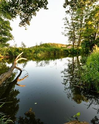 Kajakodajnia Campsite at the Wierzyca river