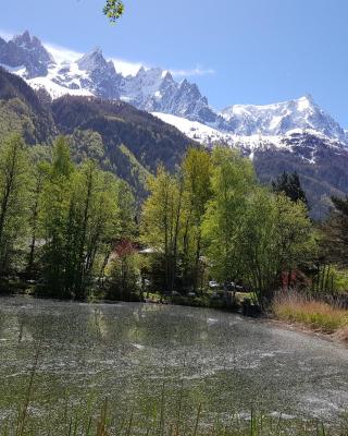 bel appartement , son jardin et le lac