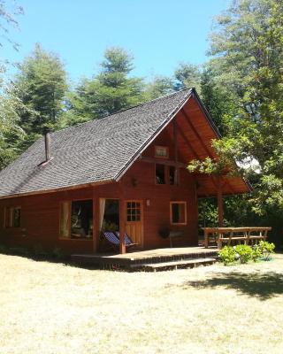 Cabañas Metreñehue - Parque Metreñehue