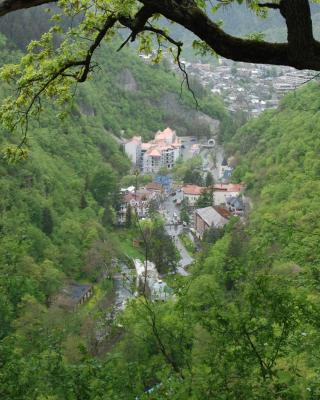 Borjomi Central Park Apartment