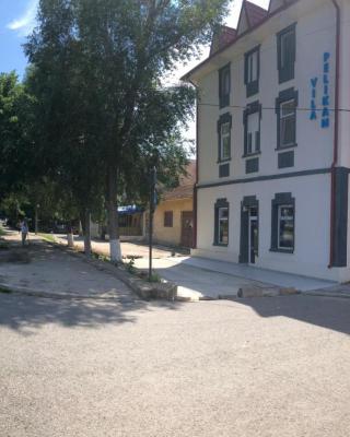 Vila Pelikan