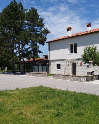 Divača, Vila Srebrna