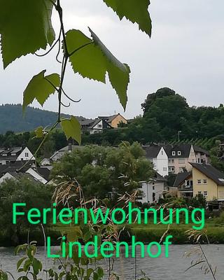 Die Ferienwohnung Lindenhof