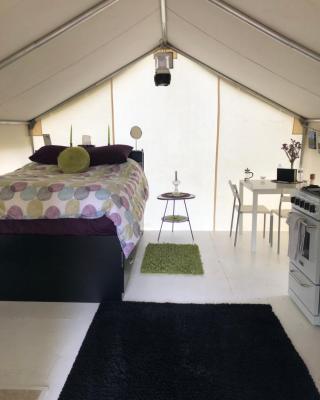 Vines and Puppies Glamping Hideaway