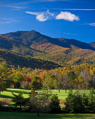 Mt Mitchell Cabin Rentals