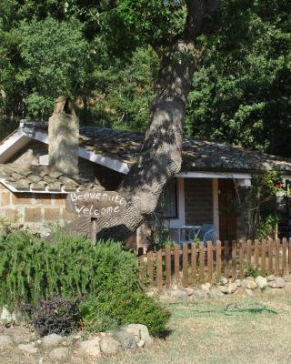 Azienda Agricola Biologica La Cardellina