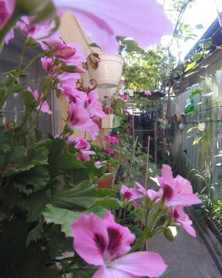 Casa MILLY Constanta