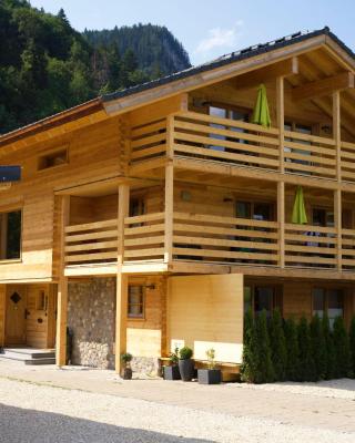 Leos Alpenchalet - inclusive Sommer Bergbahnticket und E-Auto Ladestation