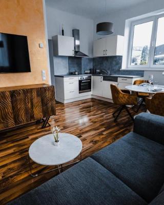 Design-Appartement Steyr