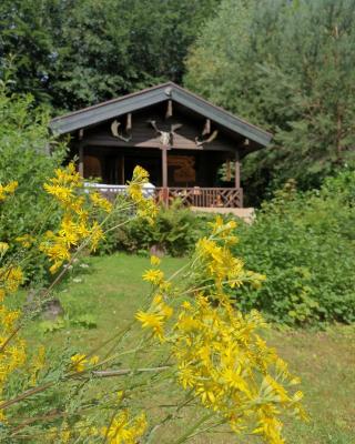 Blockhaus am Twistesee mit 3 Schlafzimmern