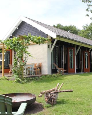 Familiehuis De Betuwe met prive kunstgras tennisbaan en sauna