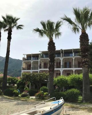 Palm Trees Hotel