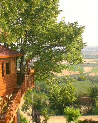 Casa sull'Albero Aromantica