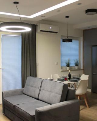 Apartament Wspólna19 (Centrum, garaż podziemny, klimatyzacja )